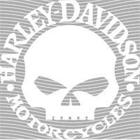 Brand Catalog-ZX 587